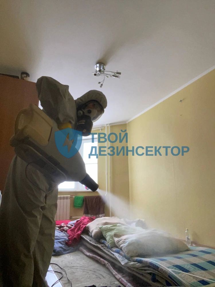 Дезинсекция от клопов в Москве